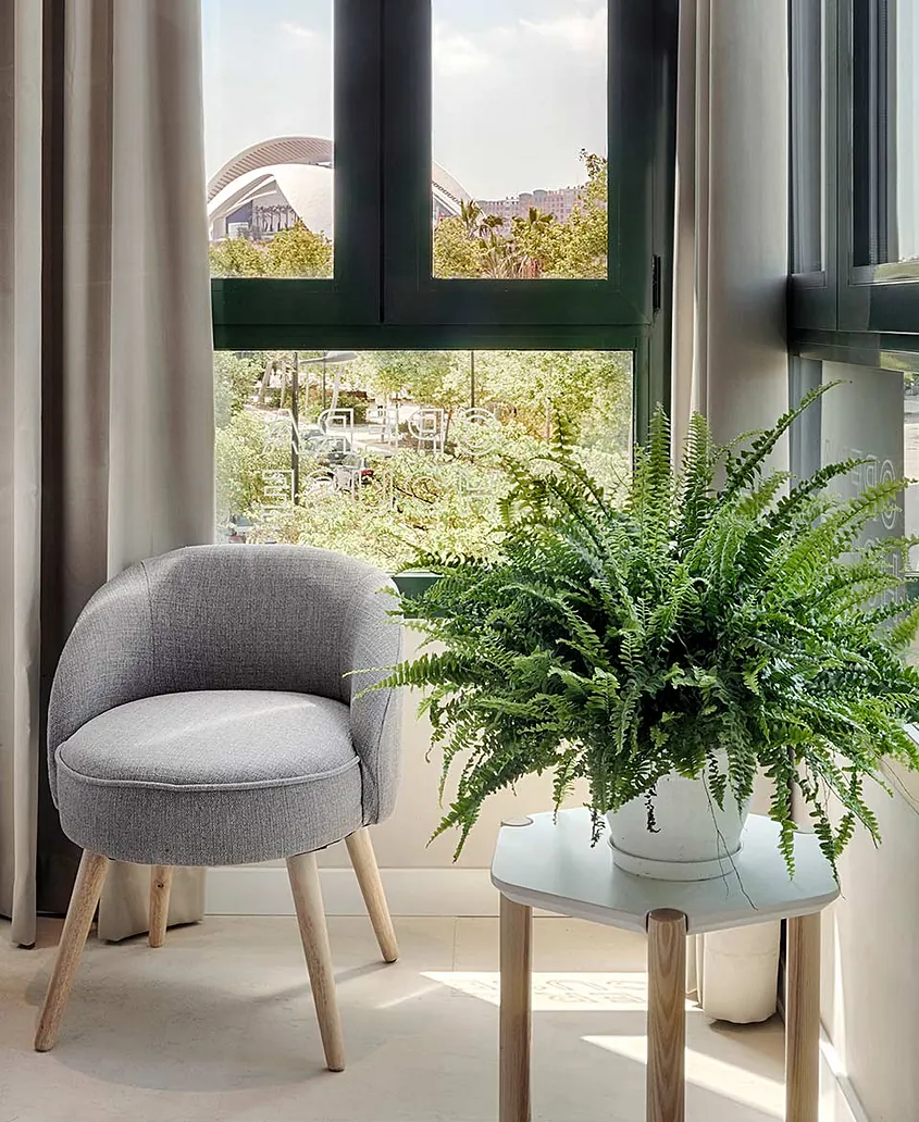 Cota Cero Interiorismo planta y silla